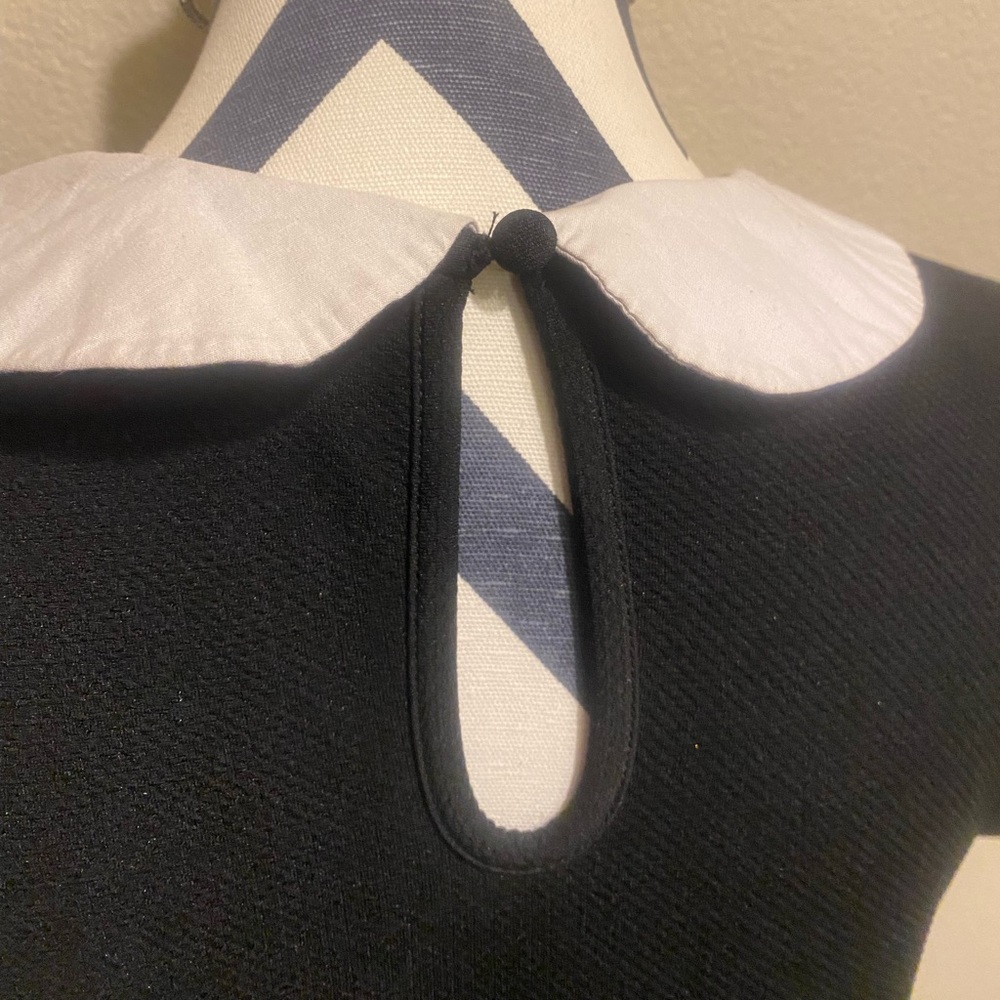 Torrid short sleeve black dress with white collar - Picture 5 of 8